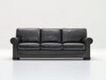 Sofás lineales de cuero 225 x 95 x 90 cm - Negro - 3 plazas con brazos redondeados y tachuelas decorativas
